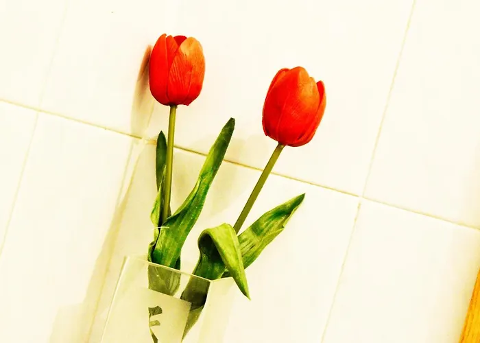 לינה וארוחת בוקר Maggiore 58