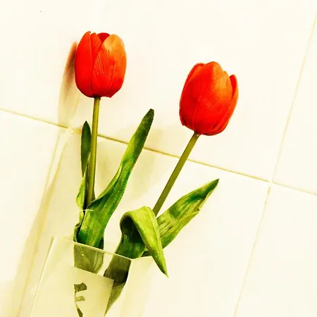 Bed & Breakfast Maggiore 58